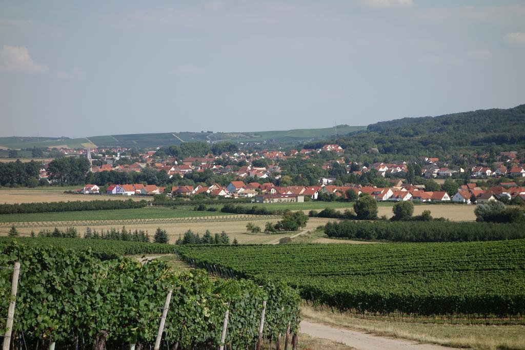 Antjes Ferienwohnung Flonheim Oda fotoğraf